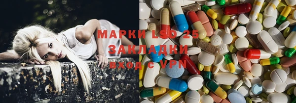 spice Новодвинск